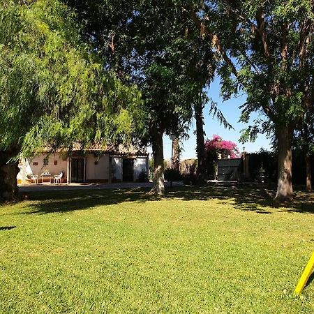 Finca El Romero, Finca A 15 Minutos De Sevilla Alcala del Rio ภายนอก รูปภาพ